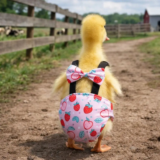 Reusable Adjustable Duck Diapers Elastic - ProPawPet.com