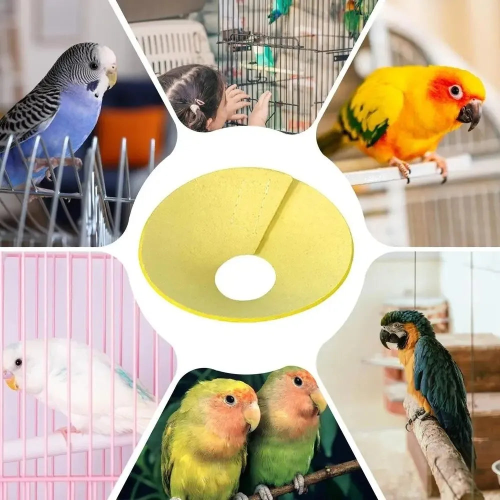 Anti Bite Bird Elizabethan Collar Breathable - ProPawPet.com