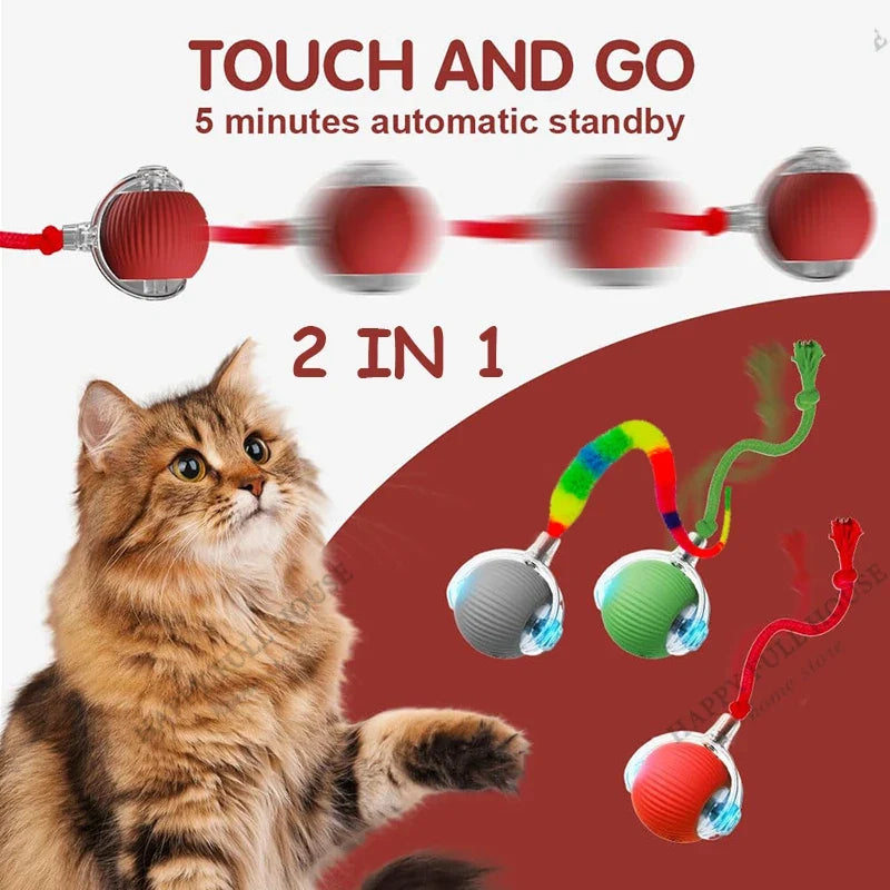 2 in 1 Cat Toy Interactive Ball for Indoor - ProPawPet.com