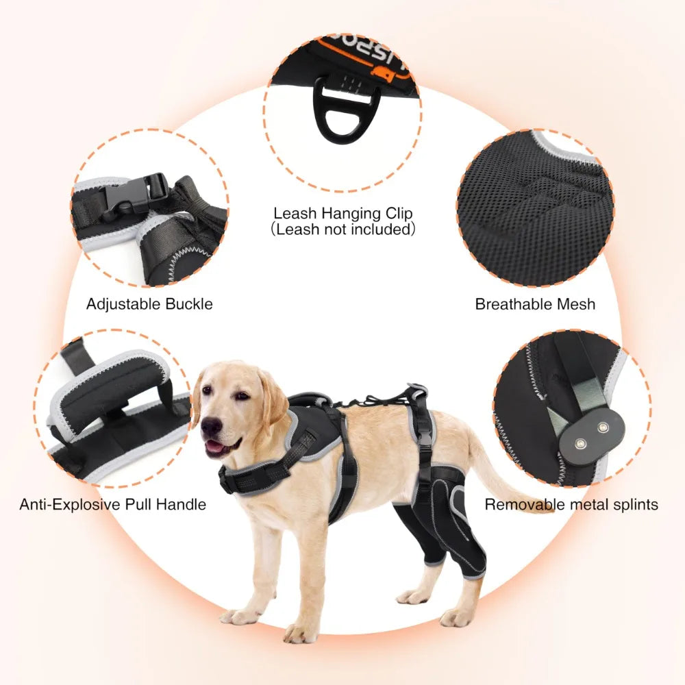 Reduces Pain Hind Leg Dog Leg Brace - ProPawPet.com