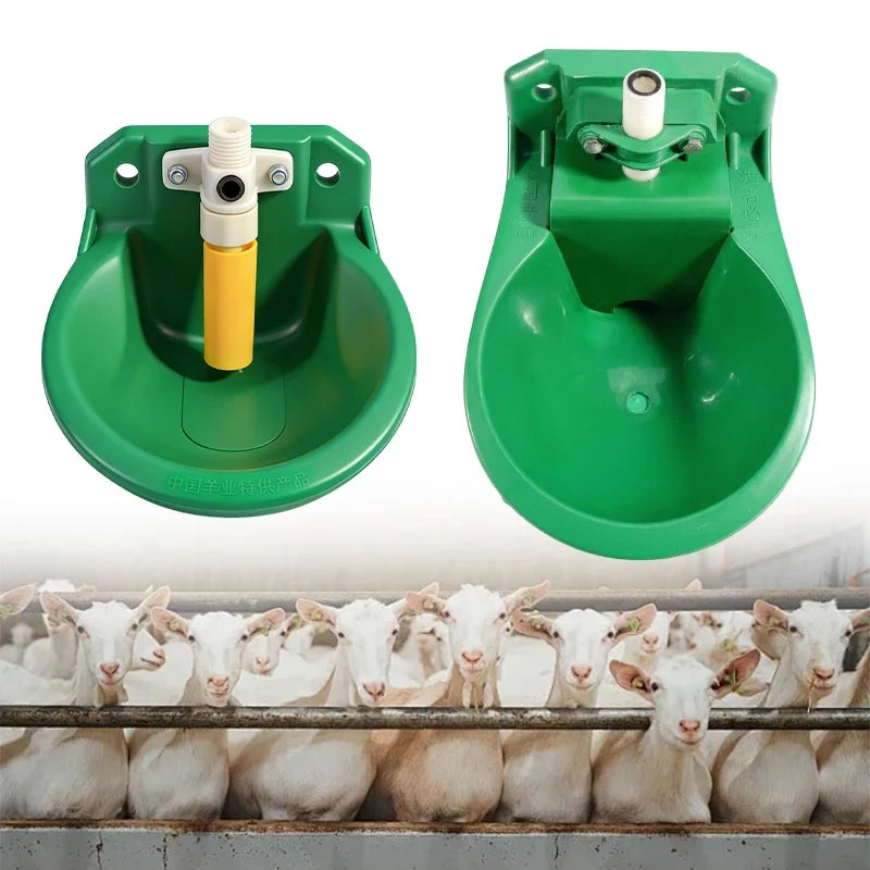 Sheep Drinking Bowl Livestock Feeding Tools - ProPawPet.com