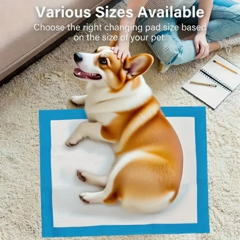 Pet Urine Pad Water-absorbent and Leak-proof - ProPawPet.com
