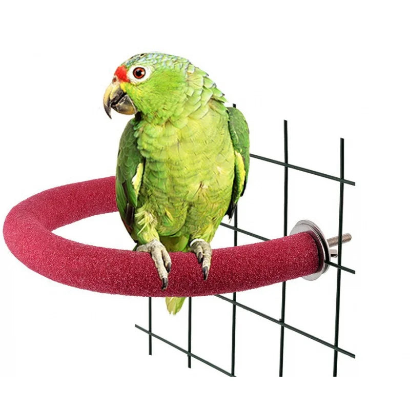 Parrot Sanding Stick Toy Bird Claw Grinding - ProPawPet.com