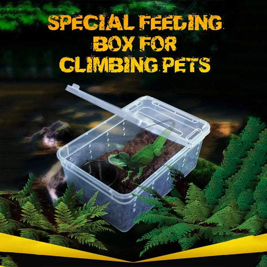 19cmx12.5cmx7.5cm Terrarium For Reptiles - ProPawPet.com