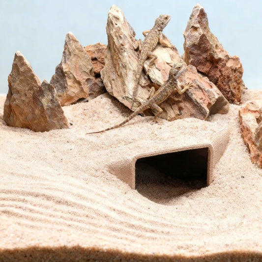 Reptile 3D Cave Hideout - Terrarium - ProPawPet.com