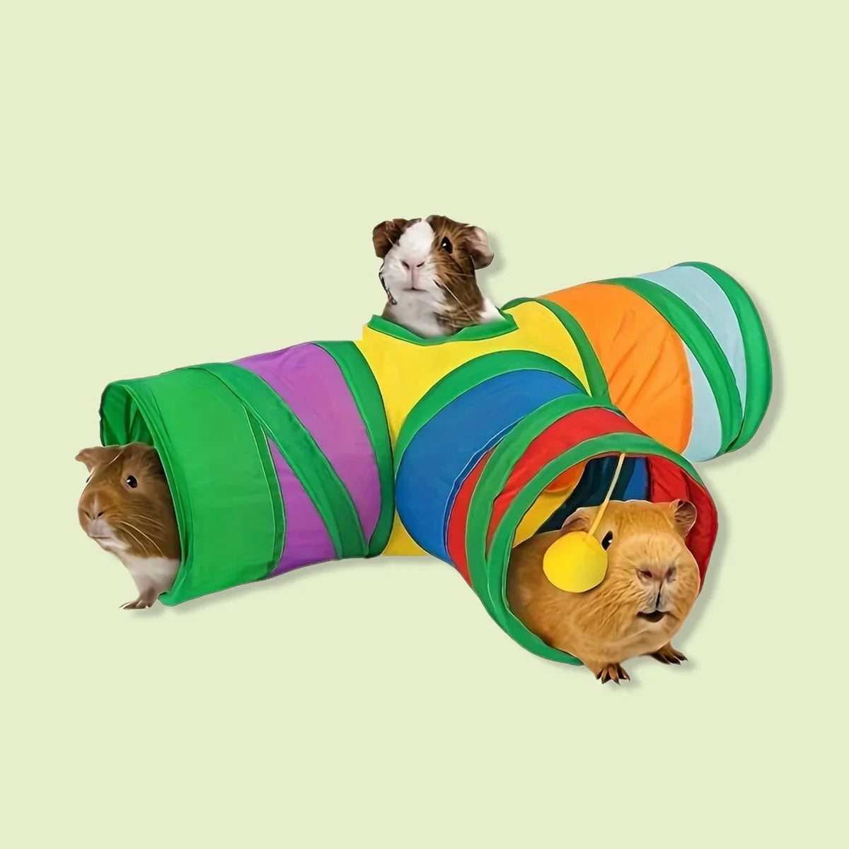 Interactive Small Pet Collapsible Tunnel Toy - ProPawPet.com