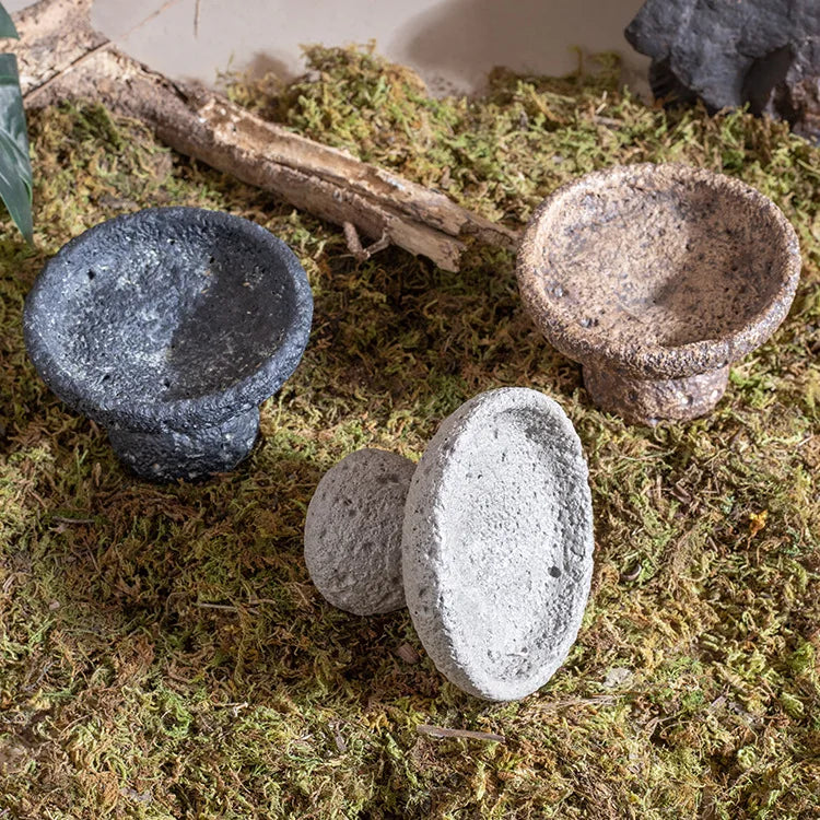Natural Reptile Food & Water Dish - - ProPawPet.com