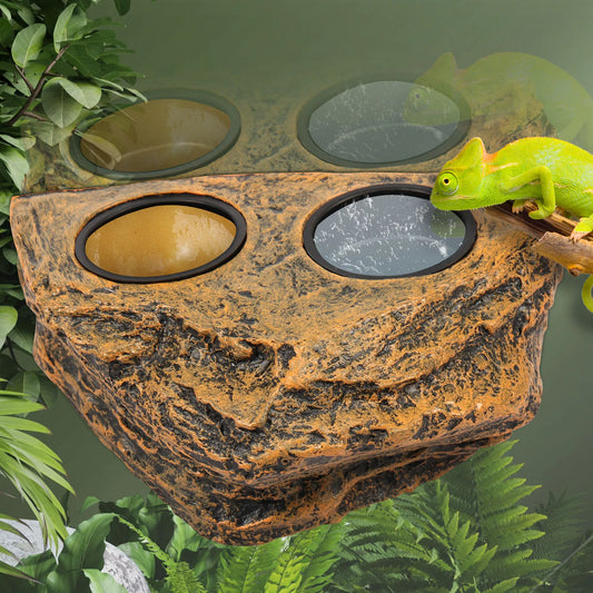 Magnetic Reptile Feeder Ledge Reptile Food - ProPawPet.com
