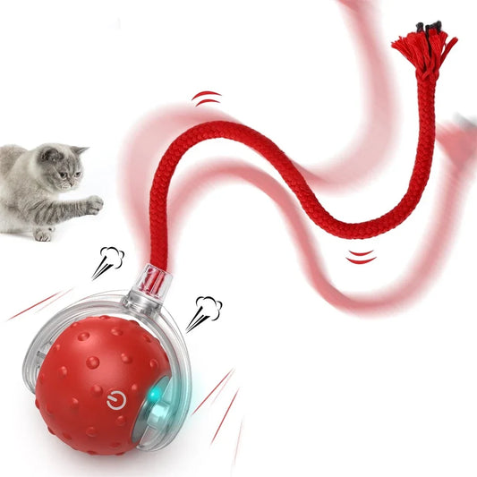 Interactive Cat Toy Ball USB Rechargeable - ProPawPet.com