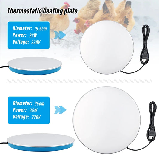 Poultry Pet Animals Chicken Drinking Heating - ProPawPet.com