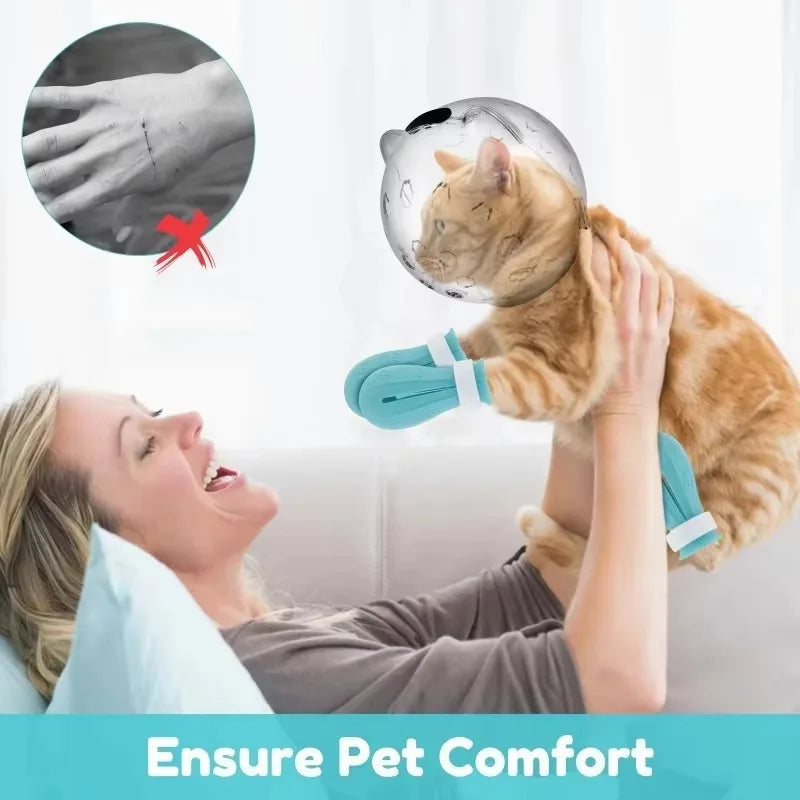 1Set Cat Space Helmet Breathable Anti Bite - ProPawPet.com