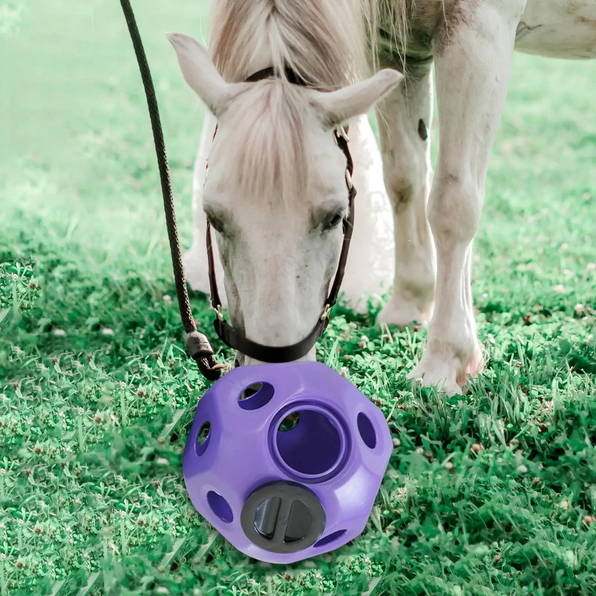 Fun 15 7 Horse Treat Ball Horse Toys Feed - ProPawPet.com