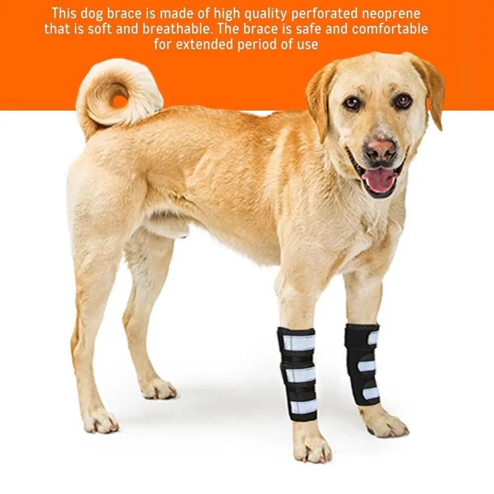 1PC Lightweight PC Strips Dog Front Leg - ProPawPet.com