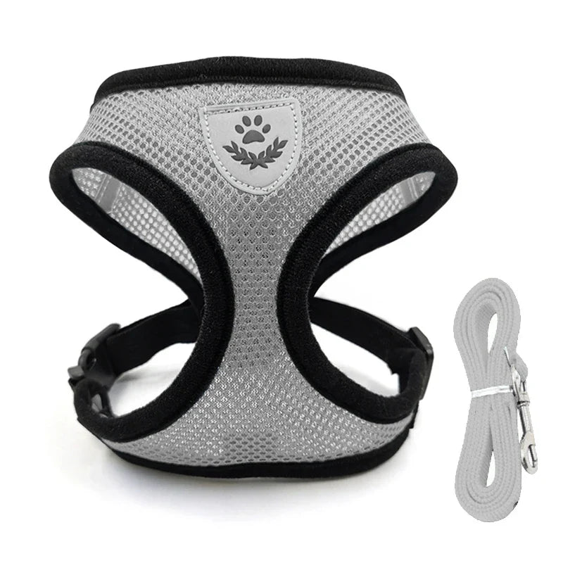Adjustable Cat Dog Harness Leash Set - ProPawPet.com