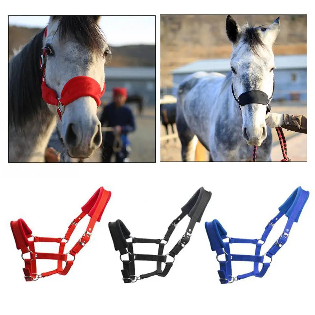 Premium Thicken Cob Horse Halter Headstall - ProPawPet.com