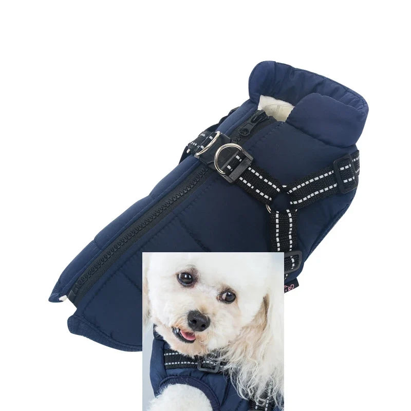 Customizable Winter Dog Clothes Collars, - ProPawPet.com