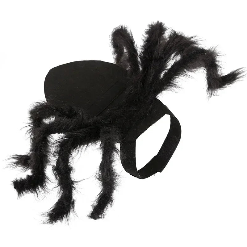 Pet Spider Outfit Realistic Furry Design Dog & Cat Party Wear – Reptile Supplies
