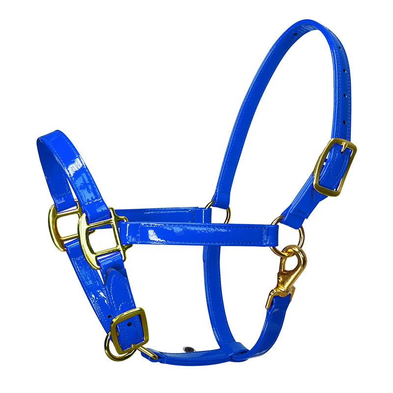 Adjustable PVC Horse Halter Soft Microfiber - ProPawPet.com