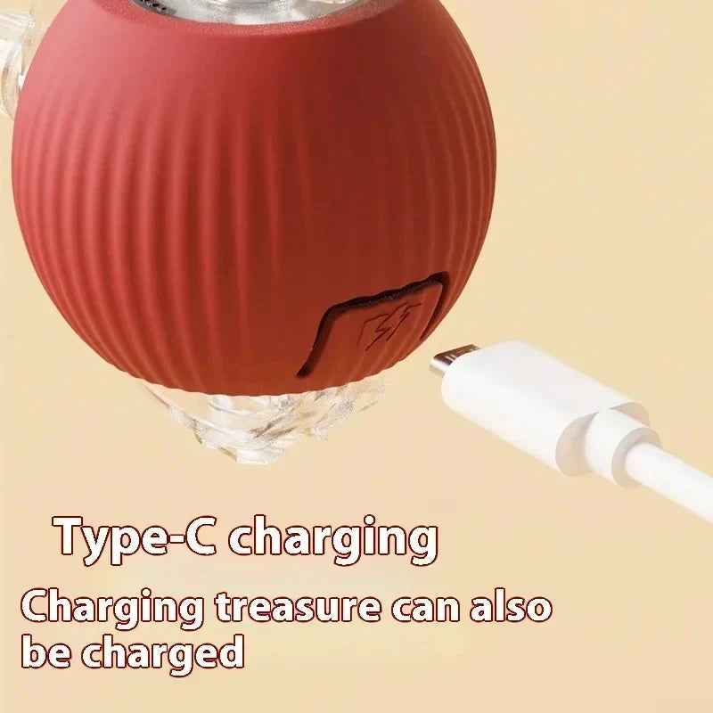 Rechargeable Automatic Rolling Ball Cat Toy - ProPawPet.com