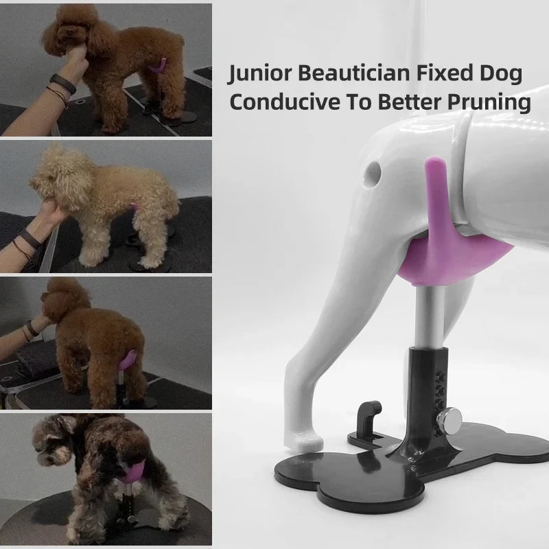 Dog Grooming Assisted Standing Bracket - ProPawPet.com