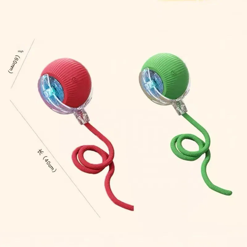 USB Rechargeable Smart Cat Toy Ball - ProPawPet.com