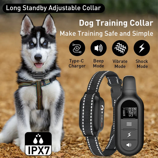 Paipaitek 1000M Dog Training Collar All Size - ProPawPet.com