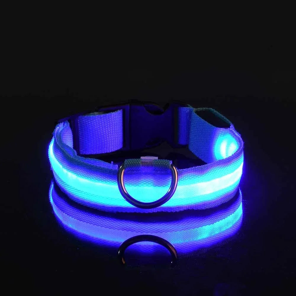 Dog Collar Nylon LED Night Safety Flashing - ProPawPet.com