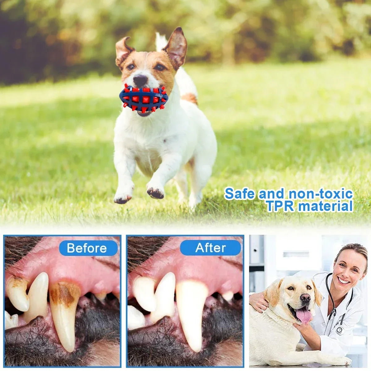 1/2Pcs Squeaky Dog Chew Toys Interactive - ProPawPet.com