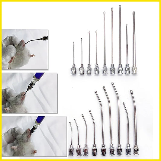 5PCS Rat Mice Intragastric Needle Stainless - ProPawPet.com