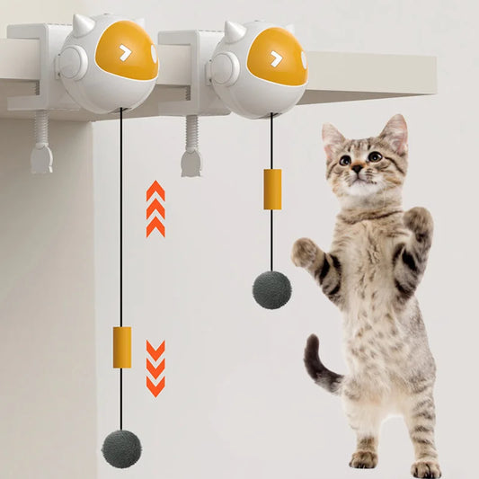 Automatic Lifting Cat Toy Ball Interactive - ProPawPet.com