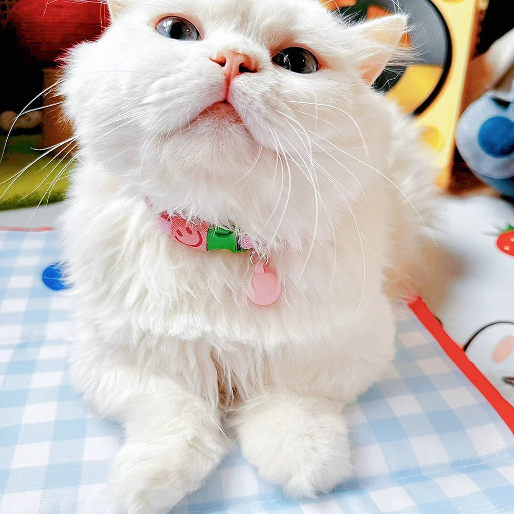 Cat Collar Elastic Webbing Puppy Necklace - ProPawPet.com
