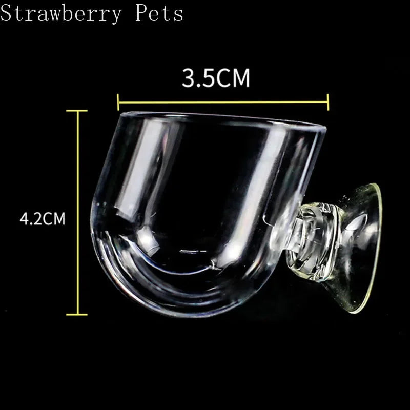 Aquarium Decoration Hanging Fish Tank Mini - ProPawPet.com