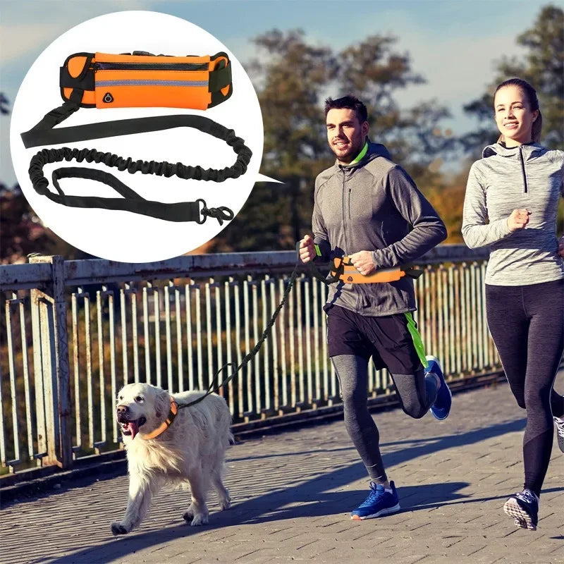 Personalized Dog Walking Collar Free Hands - ProPawPet.com