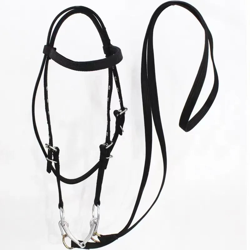 Horse Bridle Harness Set – PU Leather - ProPawPet.com