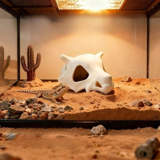 1PCS 3D printed animal skull creative - ProPawPet.com