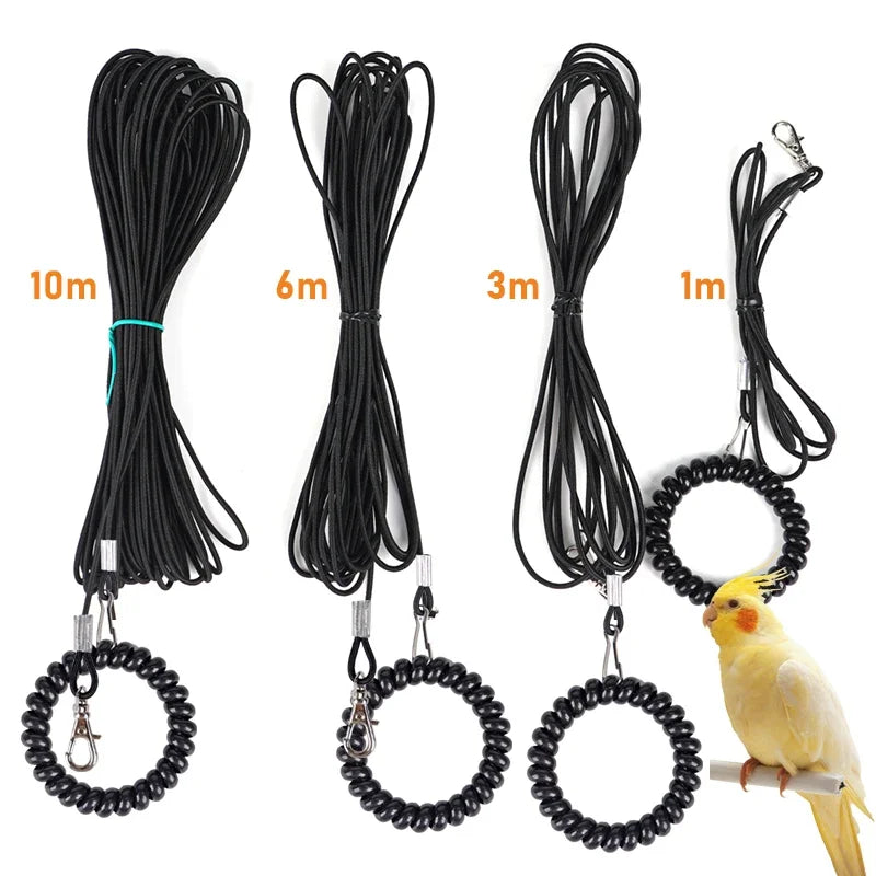 Pet Bird Outdoor Training Harness Rope Bird - ProPawPet.com