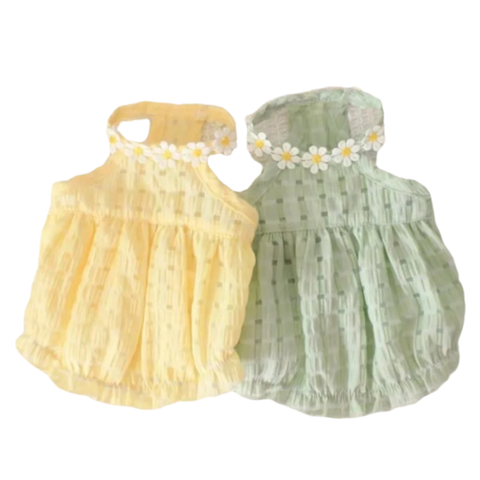 New Floral Style Collar Cat Dress Cute - ProPawPet.com