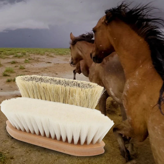 Horse Grooing Brush Solid Wood Handles Wool - ProPawPet.com
