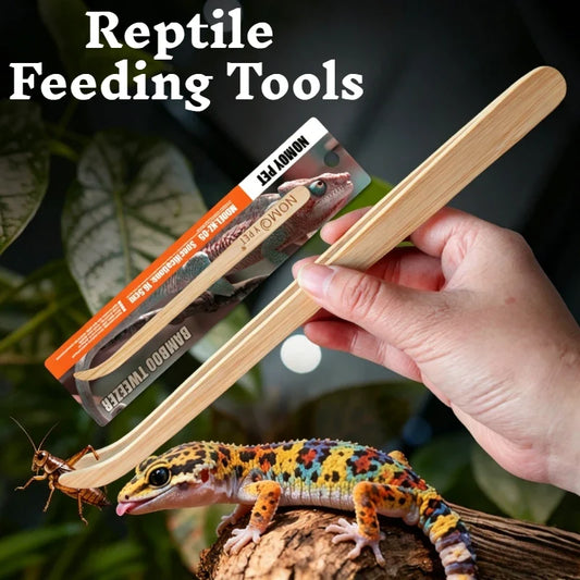 16.8/28cm Reptile Bamboo Feeding Tweezers - ProPawPet.com
