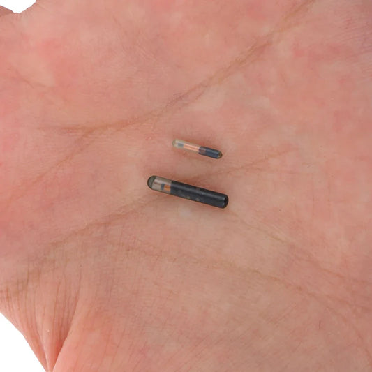 134.2KHZ Microchip Animal RFID Tag For Fish - ProPawPet.com