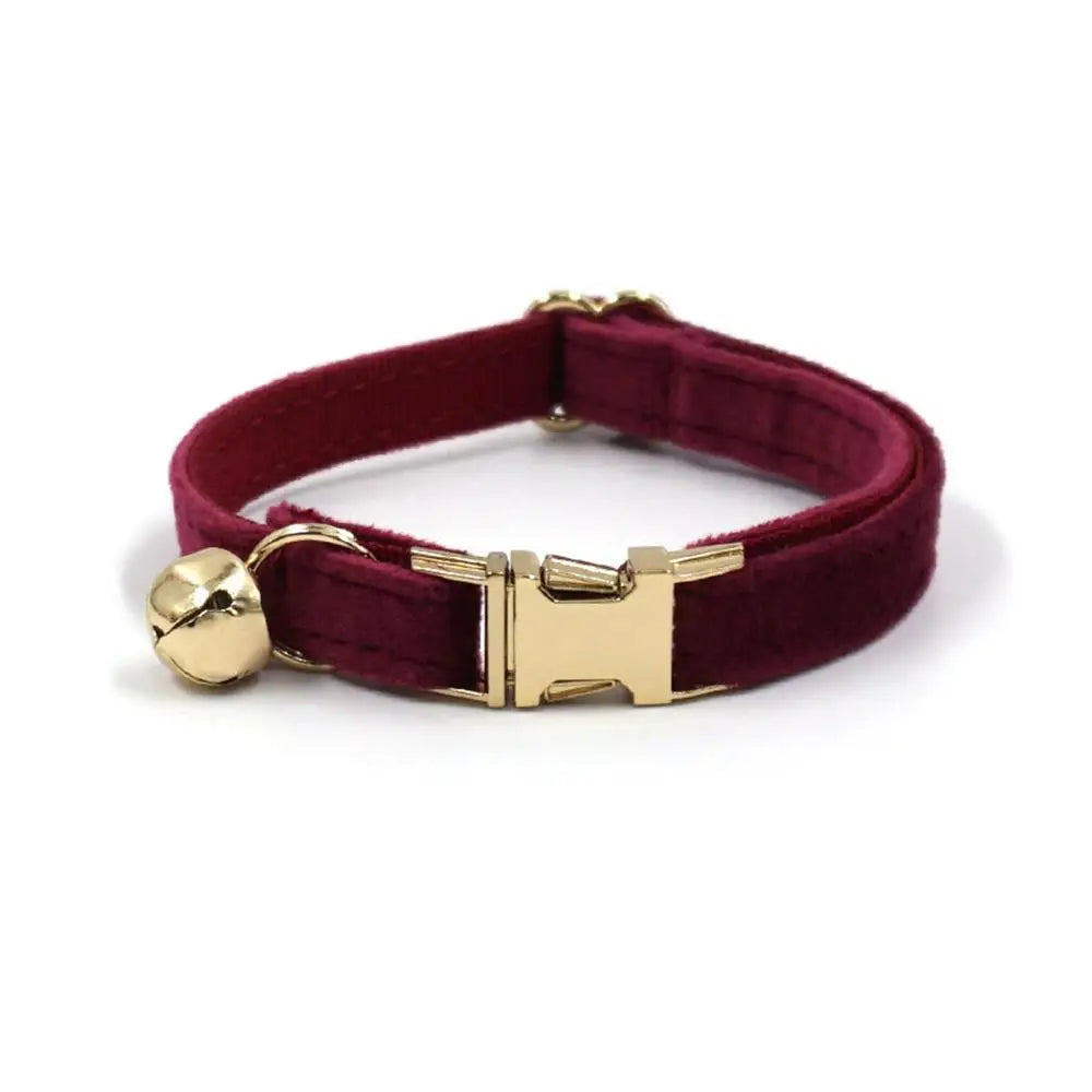 Free Engraving Customized Multicolor Soft - ProPawPet.com