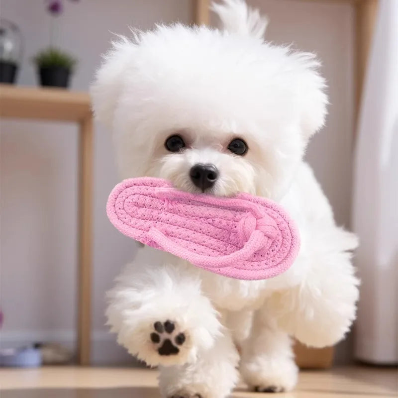 Pet Interactive Chewing Toy Cotton Slipper - ProPawPet.com