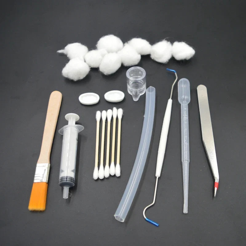 DIY Acrylic Ant Farm Tools Set with Food - ProPawPet.com