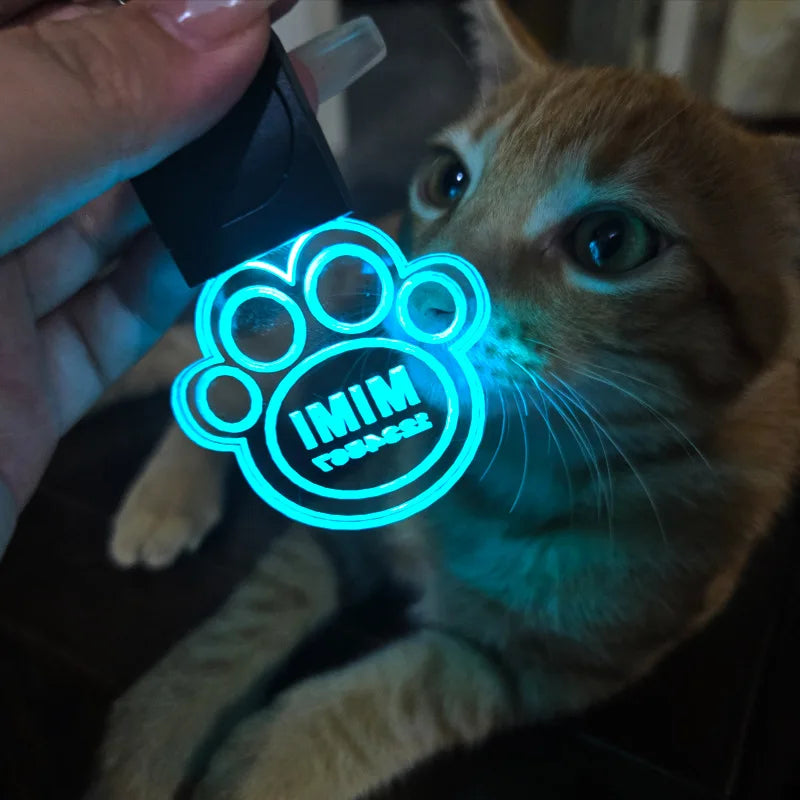 Customized Laser-engraved Acrylic LED Pet ID Tag – Interactive & Puzzle Dog Toys