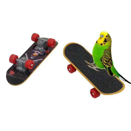 Parrot Mini Skateboard Toy Intelligence - ProPawPet.com