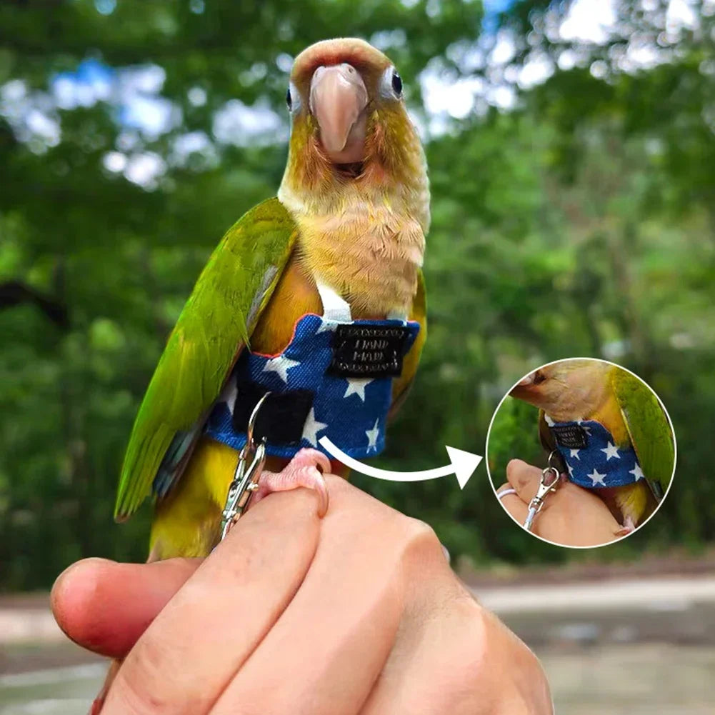 1Pc 11/15/13CM Comfortable Cowboy Parrot - ProPawPet.com