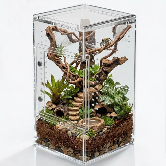 Small Reptile Terrarium Transparent Insect - ProPawPet.com
