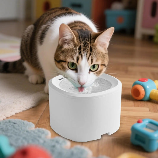 Cat Water Bowls Fountain - USB Powered Quiet - ProPawPet.com