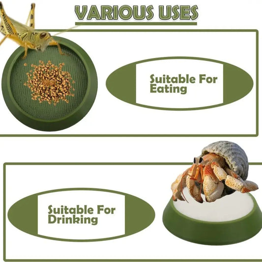 6pcs Portable Reusable Reptile Feeding Dish - ProPawPet.com
