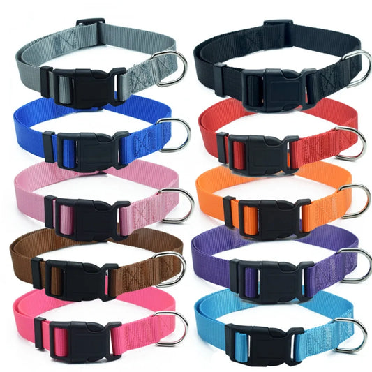 Adjustable Pet Dog Collar Nylon Dog Collars - ProPawPet.com